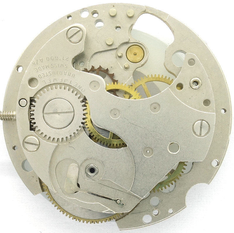 Gesperr (skelettierte Version) Baumgartner 582: Gesperr (skelettierte Version)