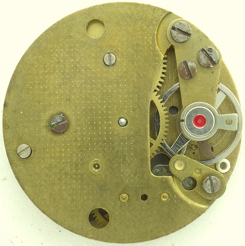 Version mit Plastik-"Stoßsicherung" Eppler 16: Version mit Plastik-"Stoßsicherung"