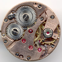 Günter G.: Guba 875 neu