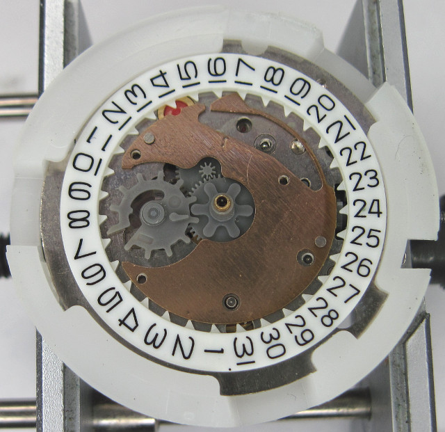 große Feder des Datumsrings Q&Q 2604: große Feder des Datumsrings