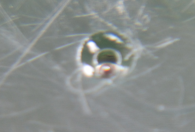 ausgelaufenes Lager des ersten Reduktionsrads Q&Q 2604: ausgelaufenes Lager des ersten Reduktionsrads